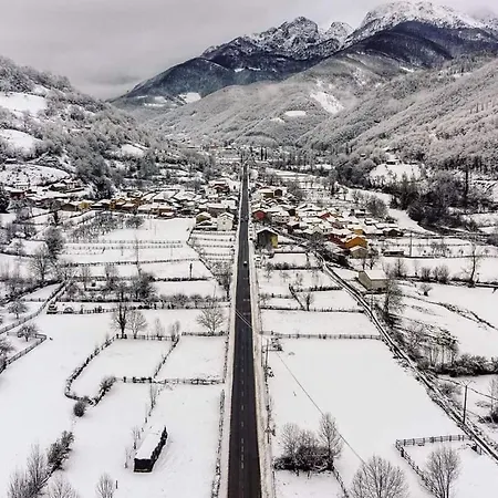 Ca' Remedios Felechosa