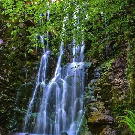 Ca' Remedios * Felechosa