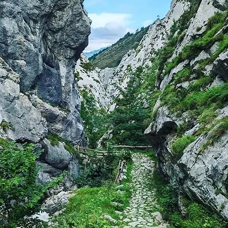 Ca' Remedios Ferienhaus *