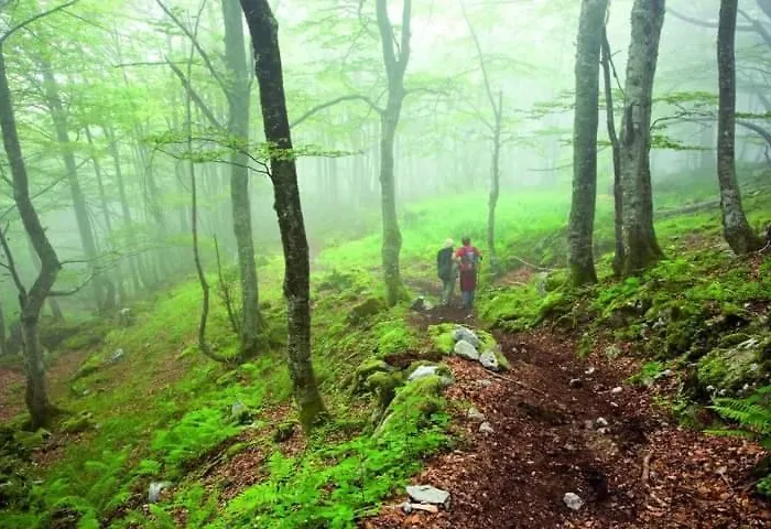 Сasa de vacaciones Ca' Remedios