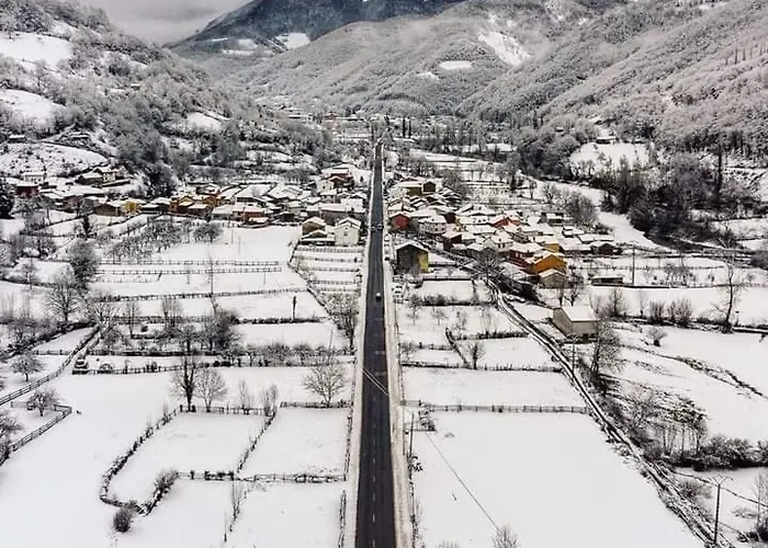 Ca' Remedios Felechosa