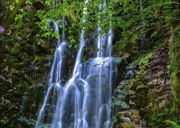 Ca' Remedios * Felechosa