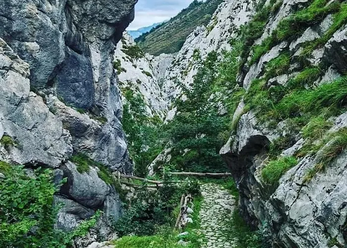 Ca' Remedios Hébergement de vacances *