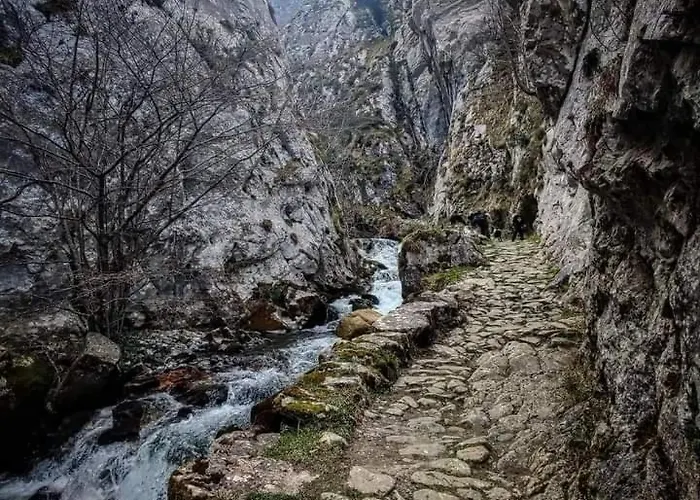 Ca' Remedios * Felechosa